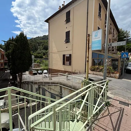 Flowers&sea 文蒂米利亚